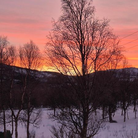 Utsikten Feriehus I Bakkeby Buitenkant foto