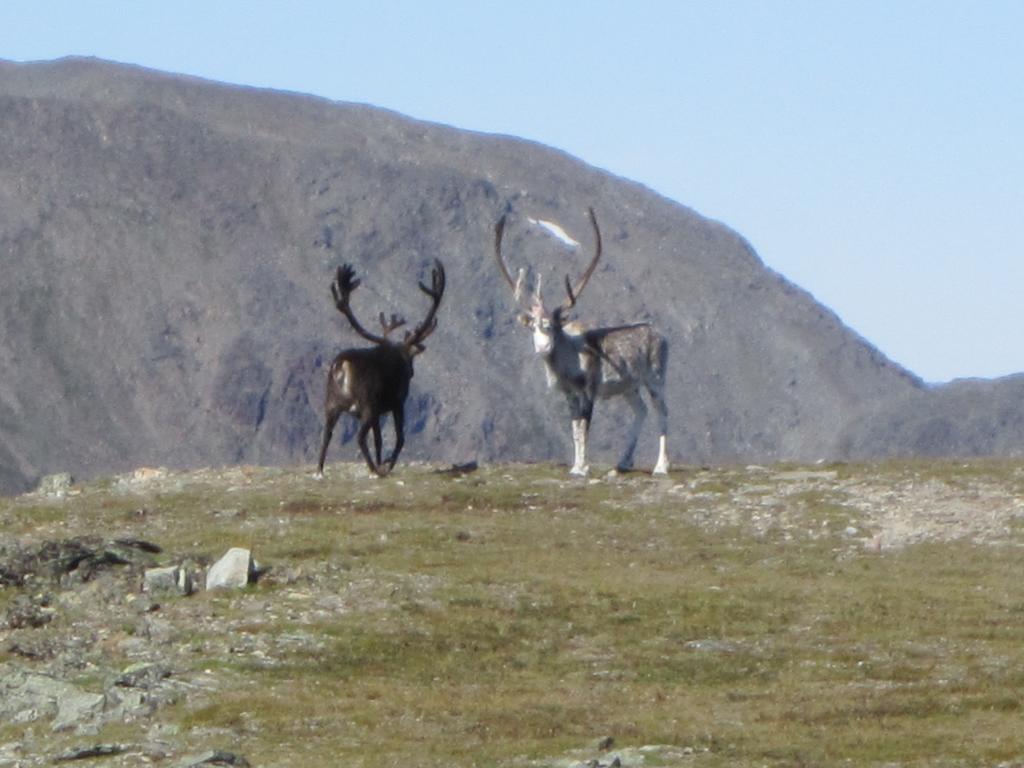 Utsikten Feriehus I Bakkeby Buitenkant foto